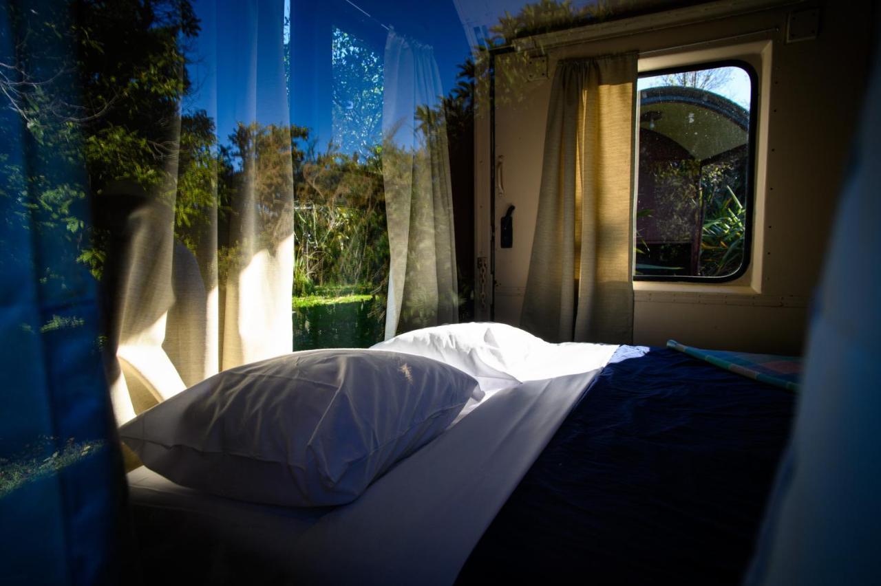 Villa Solscape Raglan Esterno foto
