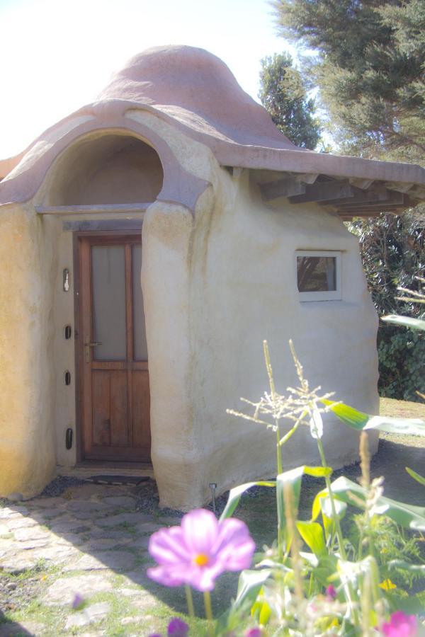 Villa Solscape Raglan Esterno foto