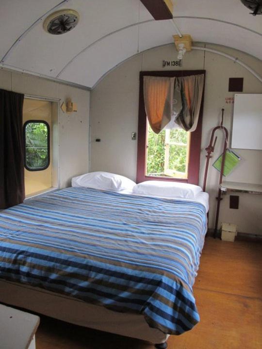 Villa Solscape Raglan Esterno foto