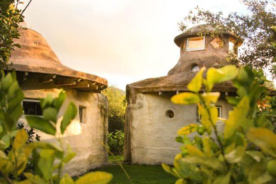 Villa Solscape Raglan Esterno foto