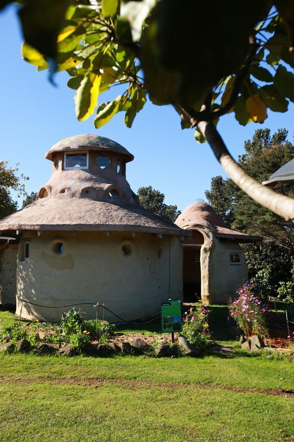 Villa Solscape Raglan Esterno foto